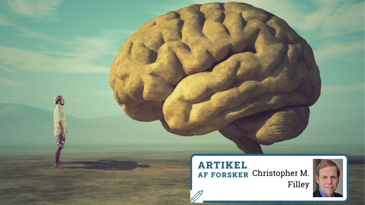 Hjerne hvid substans grå substans traumatisk hjerneskade Alzheimers demens