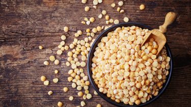 Gule ærter vegansk ost protein base alternativ