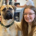 terapihund skolehund stress specialklasse skoler folkeskolen trivsel meditation