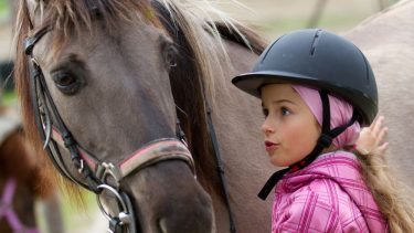 dyr tale til sprog forstå følelser positiv negativ tone sur vred glad påvirker dyrene