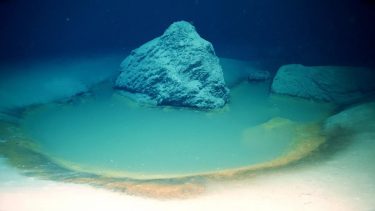 Forskerne opdagede brine poolen i Akababugten ud fra Saudi-Arabiens kyst i løbet af en fire-ugers researchtur med OceanXplorer. (Foto: OceanX)
