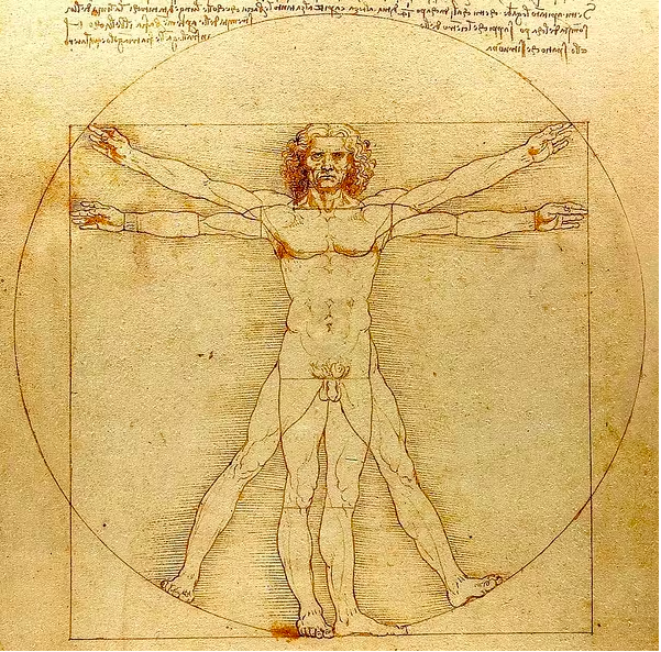 Gyldne snit Amber Heard skønhed ideal Pythagoras Leonardo da Vinci