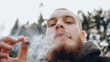 cannabis hash rusmiddel skizofreni afhængighed psykoser