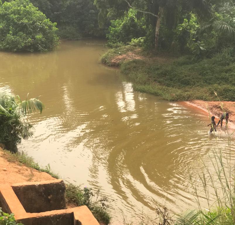 Sneglefeber Schistosomiasis bilharziose vandbåren parasitsygdom oversete tropiske sygdomme Nigeria vandforsyning faciliteter oplysning information kulturelle barrierer