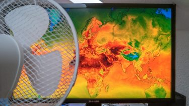 Hedebølger pris globalt