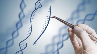 Hånd indsætter DNA-sekvens crispr cas9