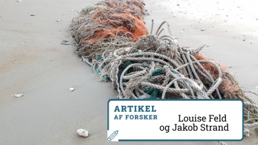 Skrald på en strand