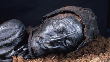 tollundmanden kulstof-14 datering akæologi moselig museum