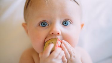 Baby med blå øjne og legetøj i munden kigger betuttet ind i kameraet