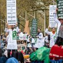 forskere demonstrerer for klimahandling