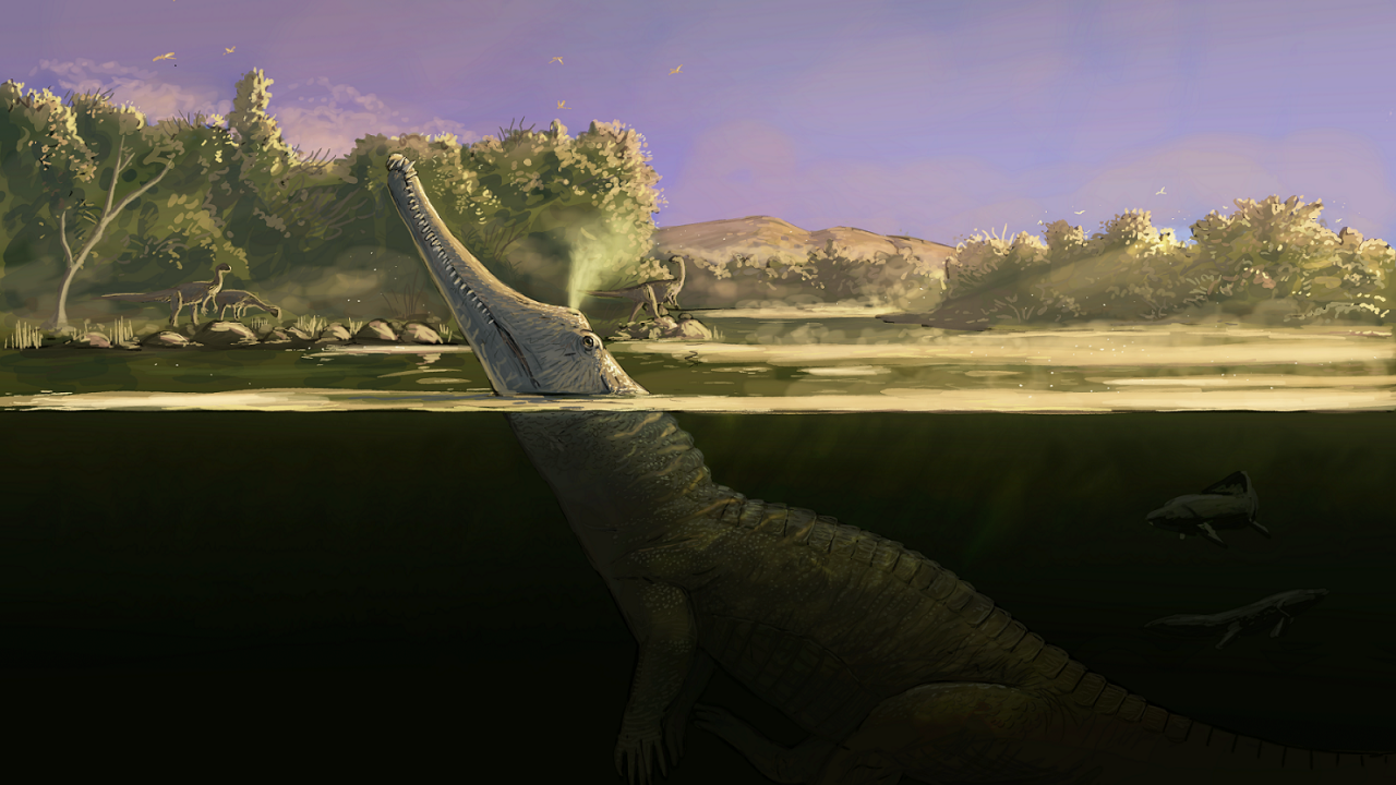 En kunstners illustration af den nye phytosaur, som her kun har hovedet over vand. På land ses andre dinosaurer.