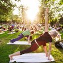 En gruppe mennesker dyrker yoga i en park