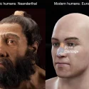Illustration af mennesket og en neandertaler