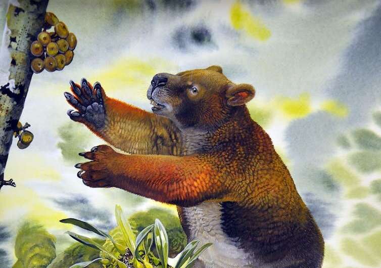 Megafauna Nimbadon