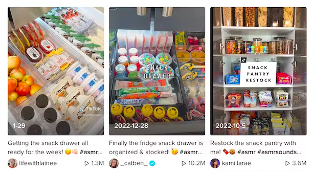 Screengrabs fra TikTok.