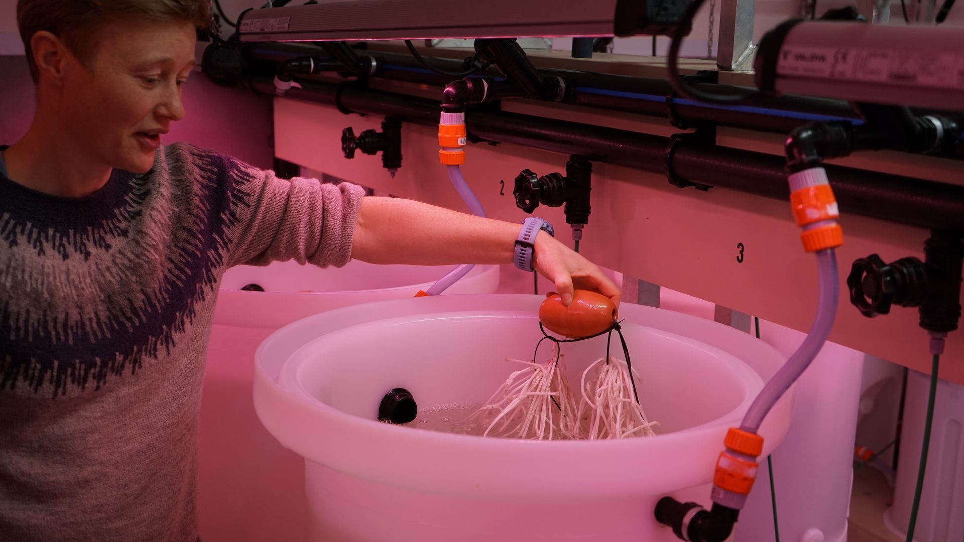 Kvinde står i laboratorie ved et kar