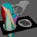 3D model