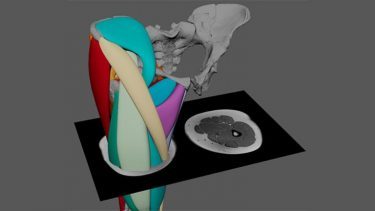 3D model