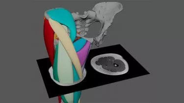 3D model