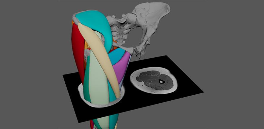 3D model