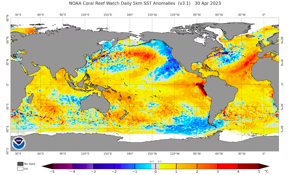 NOAA havoverfladetemperaturkort