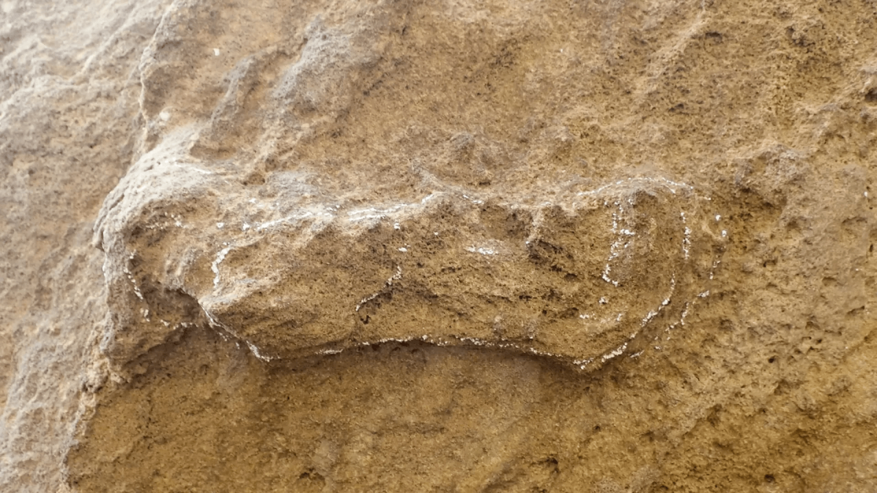 153.000 år gammelt fodspor fra Homo sapiens