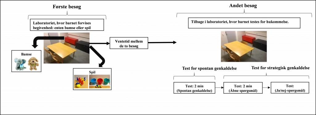 Grafikken beskriver det eksperiment, der også bliver beskrevet i billedteksten