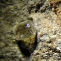 Diamant i kimberlite fra Sydafrika