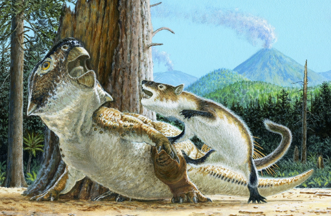 Pattedyr og dinosaurus slås