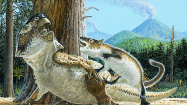 Pattedyr og dinosaurus slås