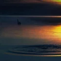 loch ness uhyret i vandoverfladen