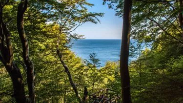 Et overblik fra kanten af Møns klint og ud over havet