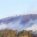 Skovbrand i Spanien i april