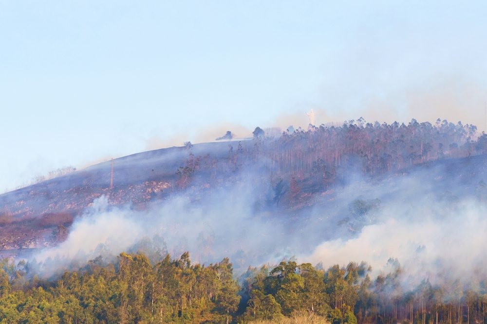 Skovbrand i Spanien i april