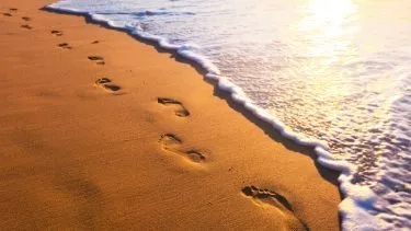 Fodaftryk i sandet langs vandkanten på en strand