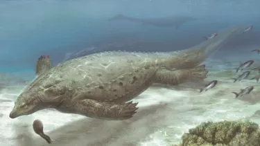 illustration af den marine dinosaur Prosaurosphargis yingzishanensis