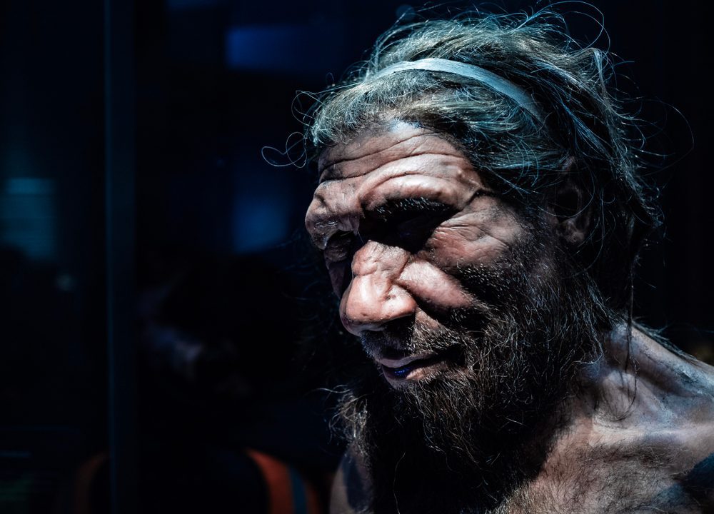 Neandertaler mand