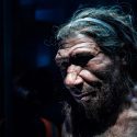 Neandertaler mand
