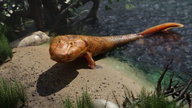 Tiktaalik er en uddød fortidsfisk, som levede i ferskvand for cirka 375 millioner år siden.