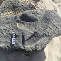 fossilt aftryk af verdens måske første sko