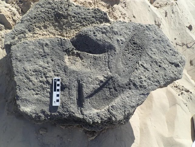 fossilt aftryk af verdens måske første sko