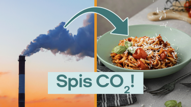 Billed af skorsten og en pastaret