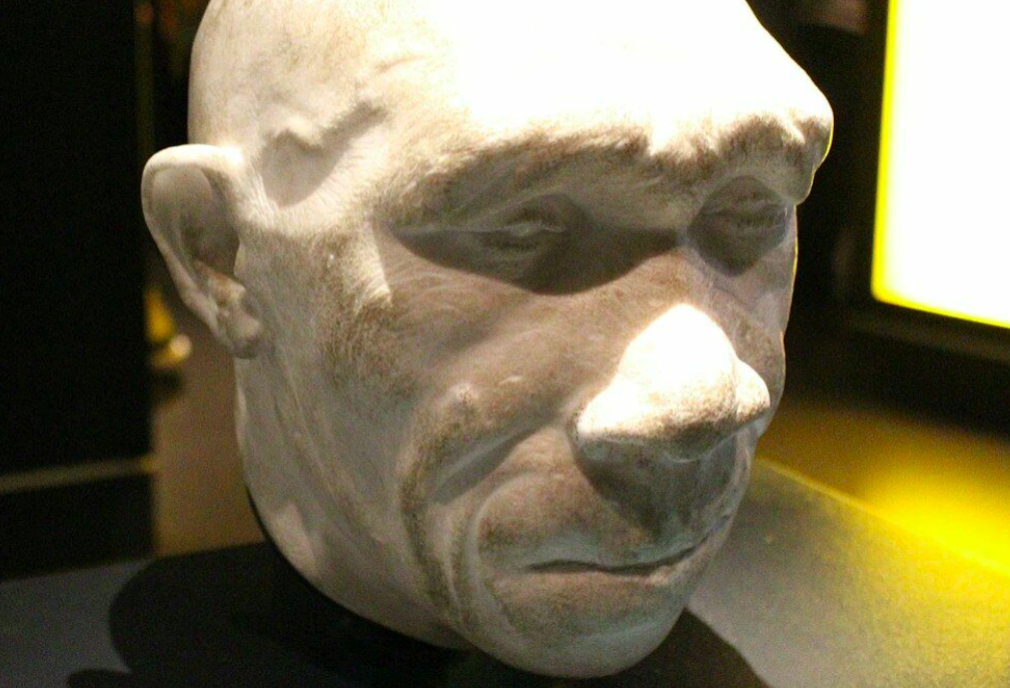 Homo heidelbergensis