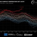 Stigende havtemperaturer på Jorden.