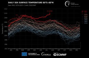 Stigende havtemperaturer på Jorden.
