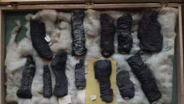 forkullede skriftruller fra herculaneum