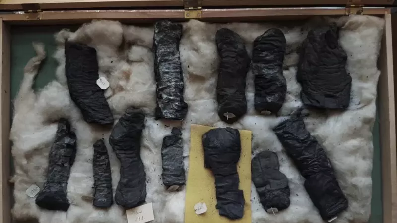 forkullede skriftruller fra herculaneum