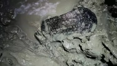 Arkæologisk fund af sandal