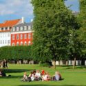 Store træer i baggrunden i Kongens Have i København