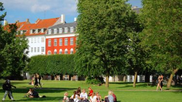 Store træer i baggrunden i Kongens Have i København